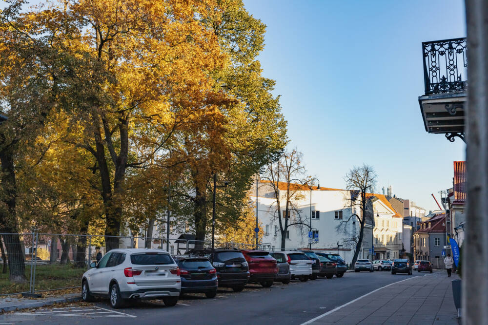Nuomojamas butas Arklių g., Senamiestyje, Vilnius, 45 kv.m ploto, 2 kambariai